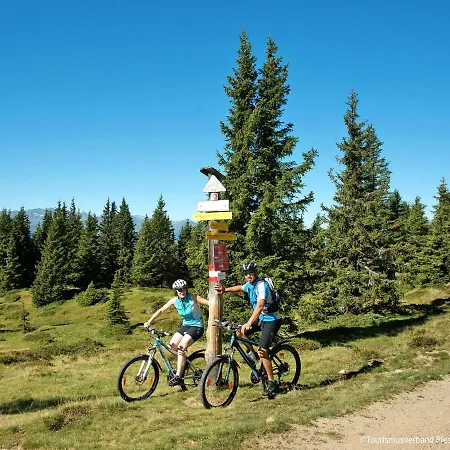 Haus Weickl By Interhome